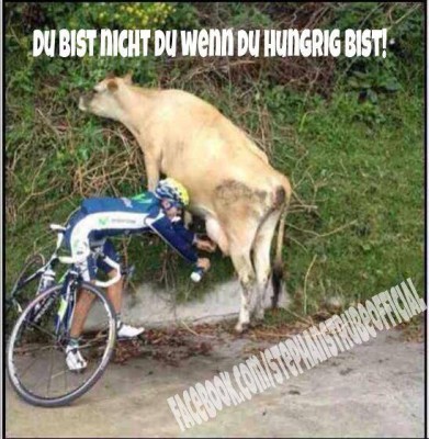 milch.jpg