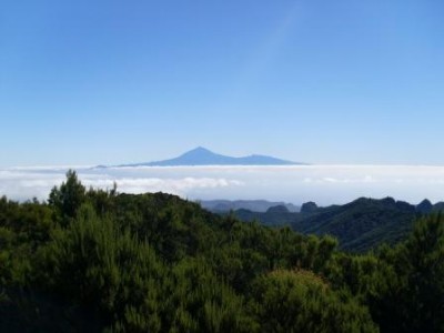 Blick auf den Teide.JPG