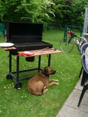 Bewacher des Grills.JPG